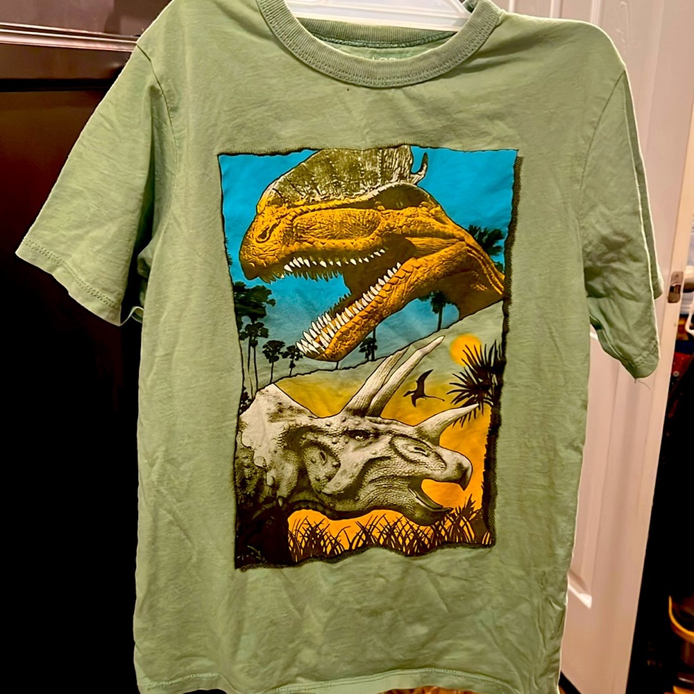 Boys medium dinosaur T-shirt.